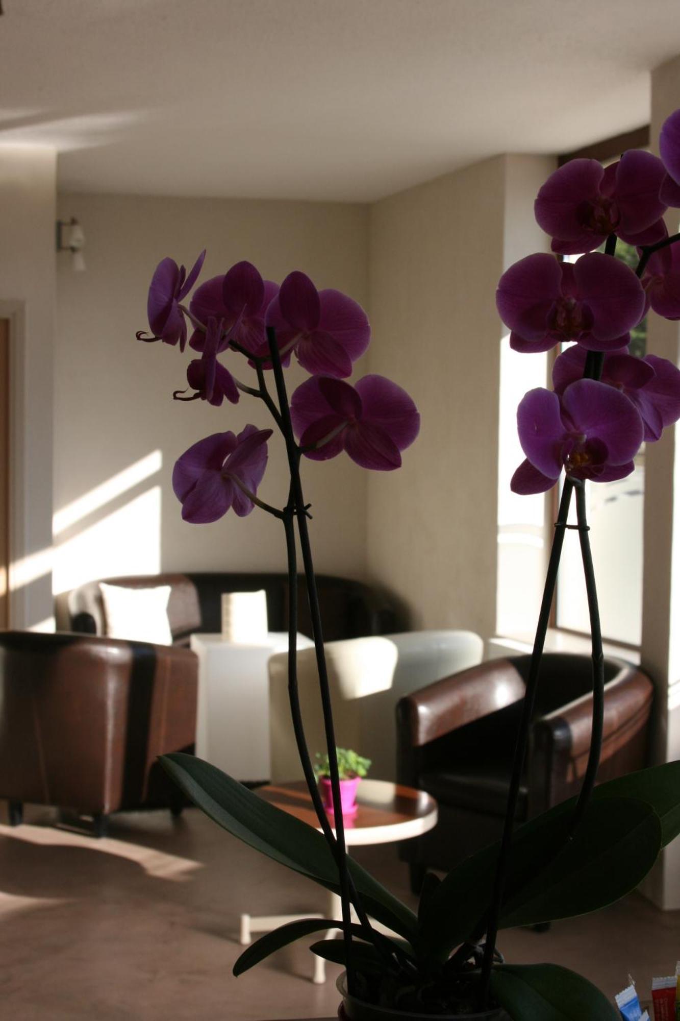 Hotel Bel Horizon Saint-Chély-dʼApcher Esterno foto